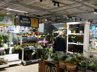 jumbo groenhof