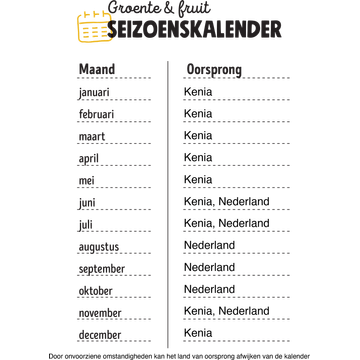 pijnboompitten jumbo