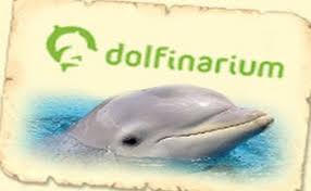 dolfinarium korting kruidvat