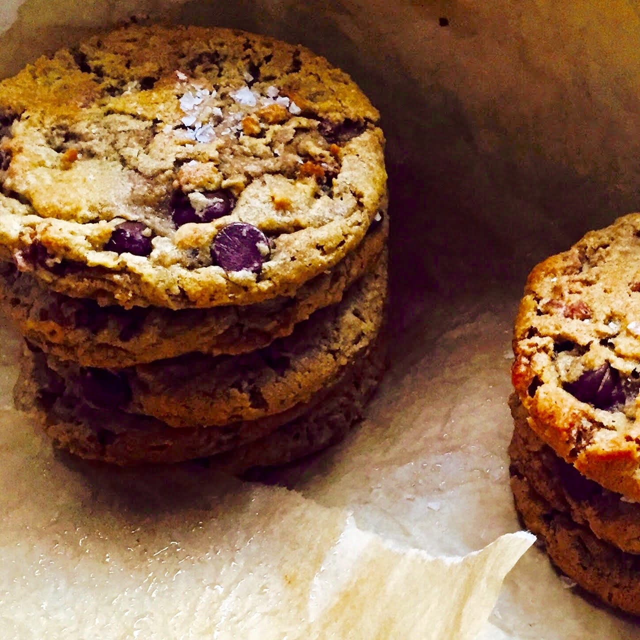 chocolate chip cookies jumbo